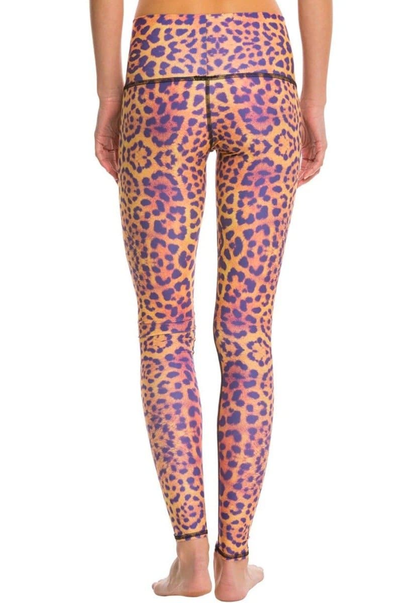 Teeki Purple Awakening Hot Pant | Teeki | Evolve Fit Wear