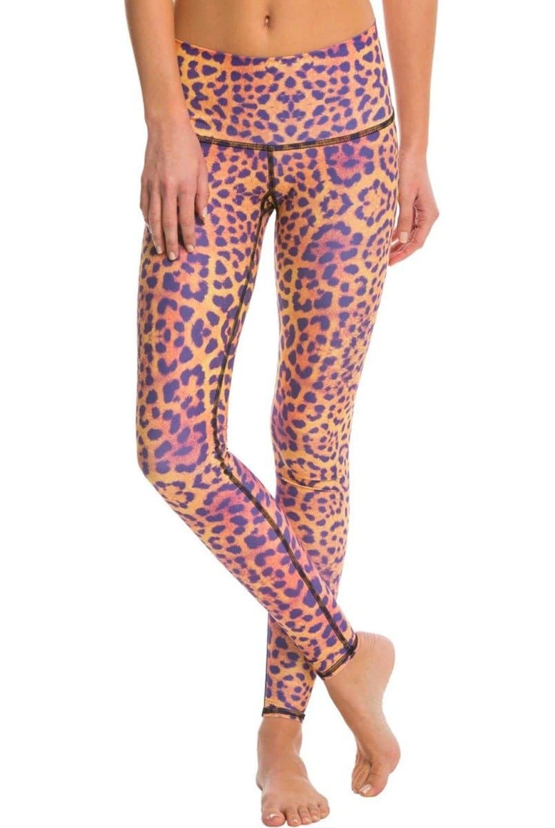 Teeki Purple Awakening Hot Pant | Teeki | Evolve Fit Wear