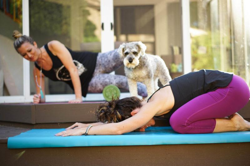 Top 10 Free Online Workouts You Can Do From Home - Evolve Fit Wear