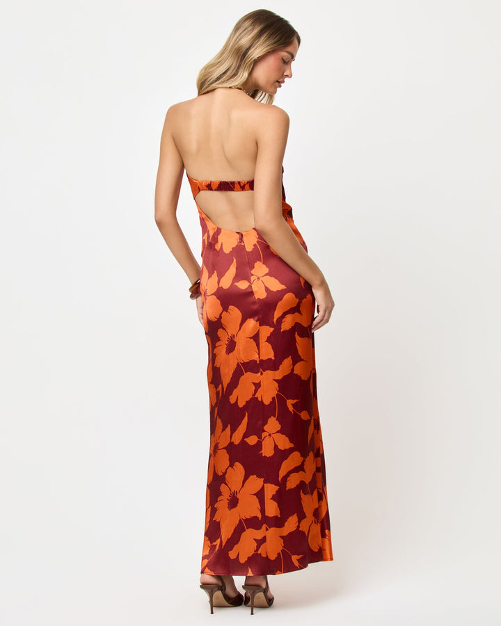 LSPACE Spring In Love dress in Cocobolo print, back view on model.