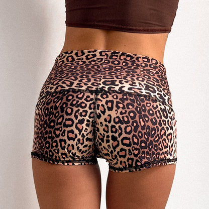 Golden Cat Sun Shorts