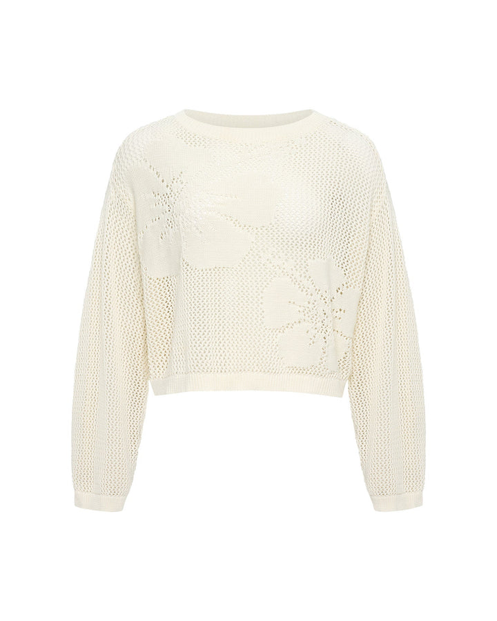 Sweaters | Evolve Fit Wear