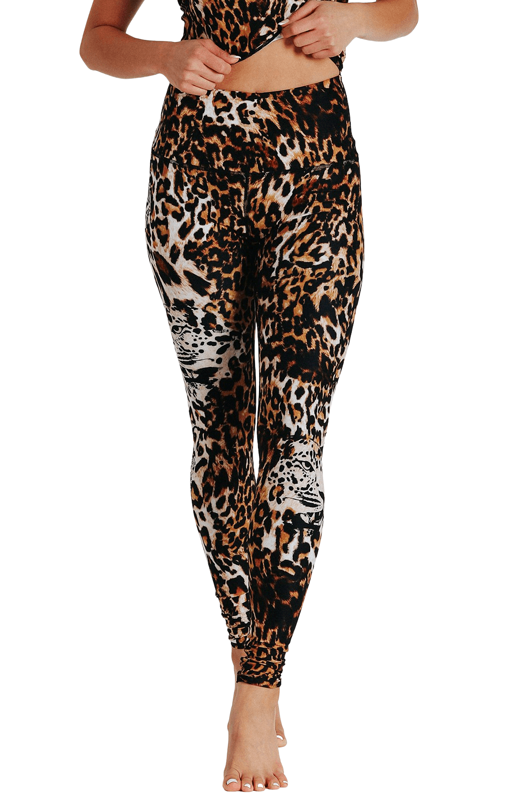 Wildcat Printed Yoga Leggings Front
