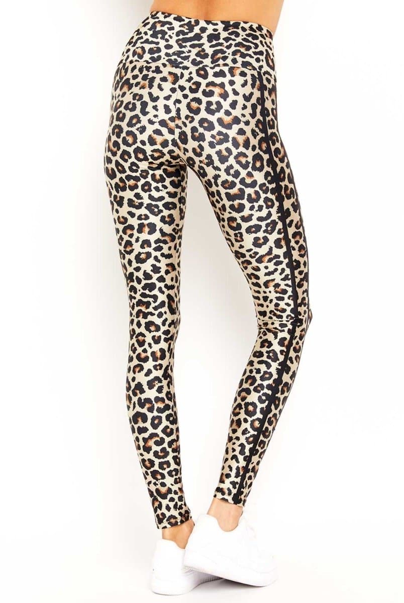 goldsheep-classic-leopard-legging2 - Evolve Fit Wear - goldsheep-classic-leopard-legging2