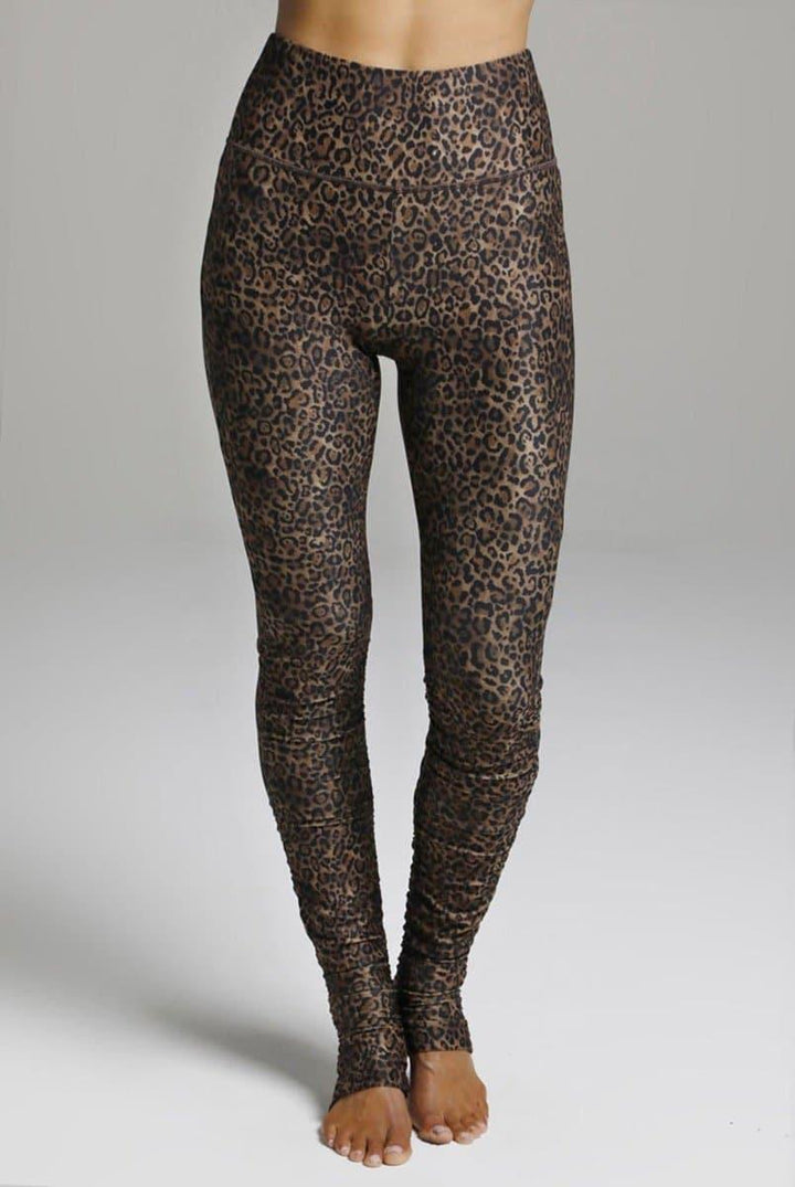kiragrace-flirt-high-waist-yoga-tight-perfect-leopard-kiragrace-evolve-fit-wear-318412 - Evolve Fit Wear - kiragrace-flirt-high-waist-yoga-tight-perfect-leopard-kiragrace-evolve-fit-wear-318412